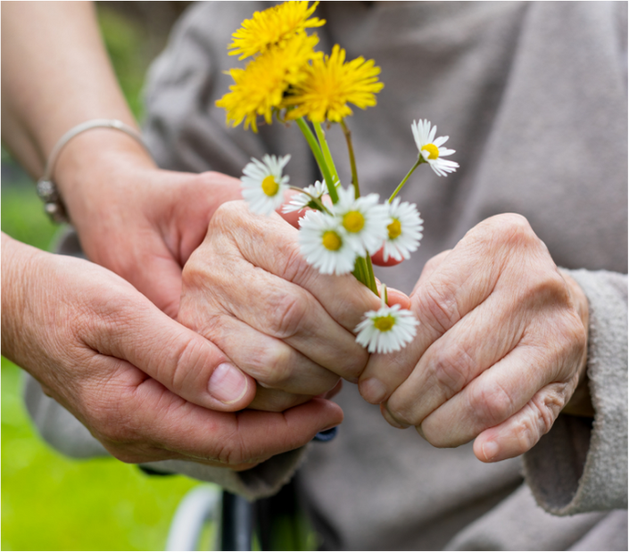hogares geriatricos campestres en cali